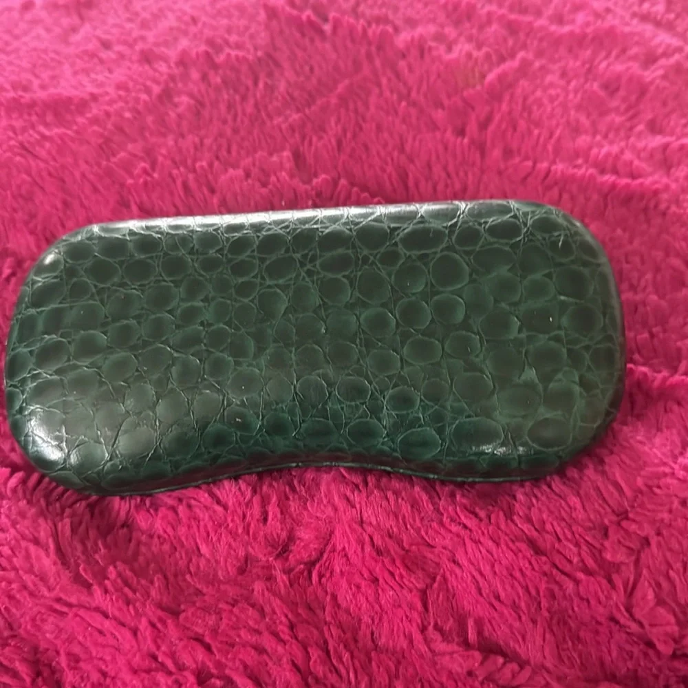 Fabulous Ray-ban sunglasses with green case!